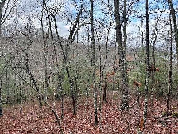 3.23 Acres of Land for Sale in Bryson City, North Carolina