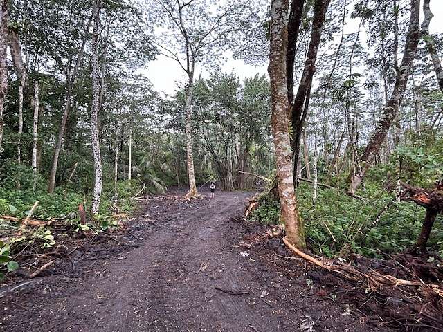 2 Acres of Land for Sale in Pahoa, Hawaii