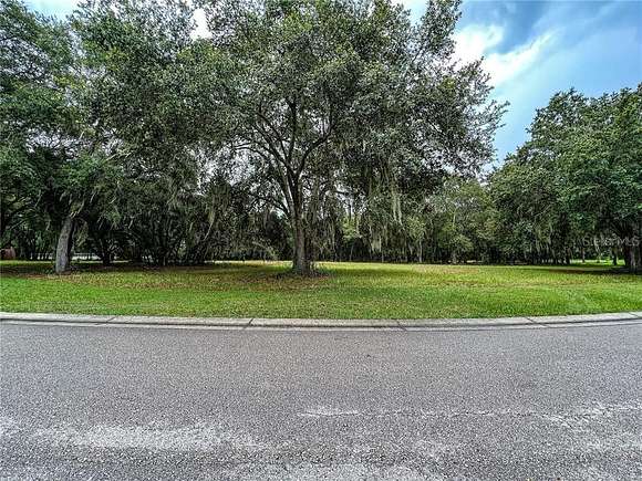 4.07 Acres of Residential Land for Sale in Plant City, Florida