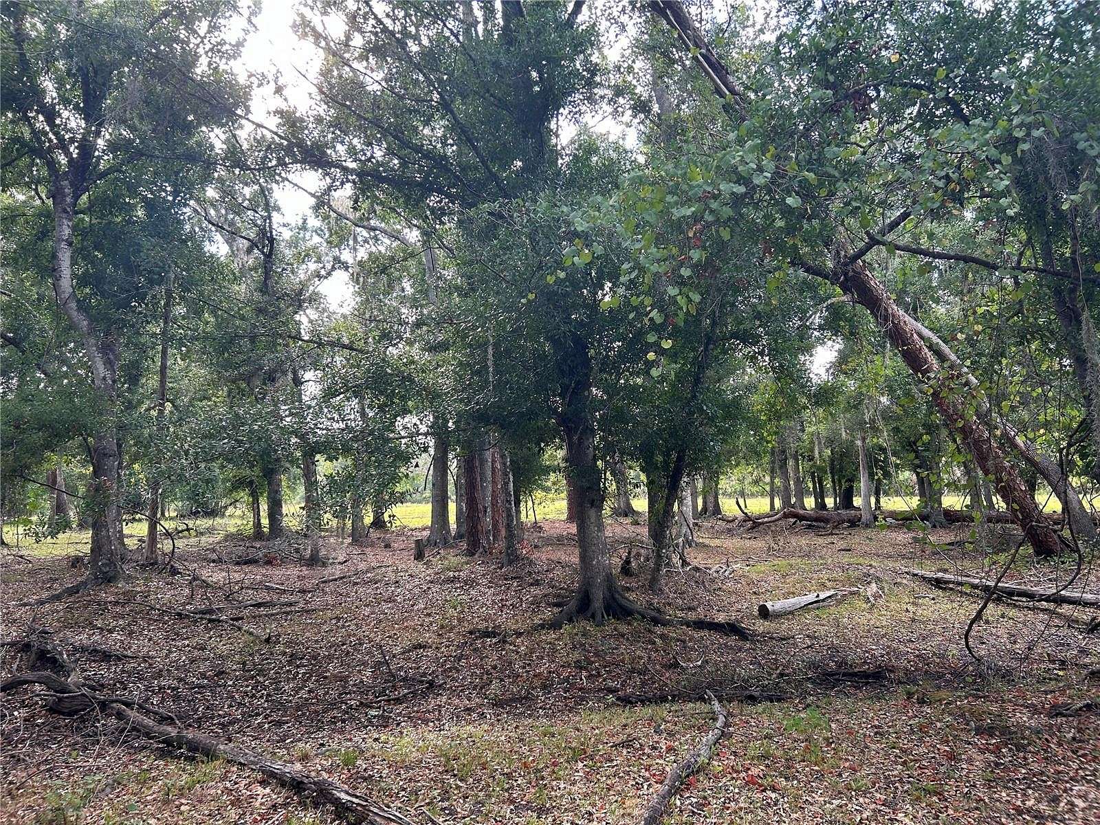 5.05 Acres of Land for Sale in Arcadia, Florida