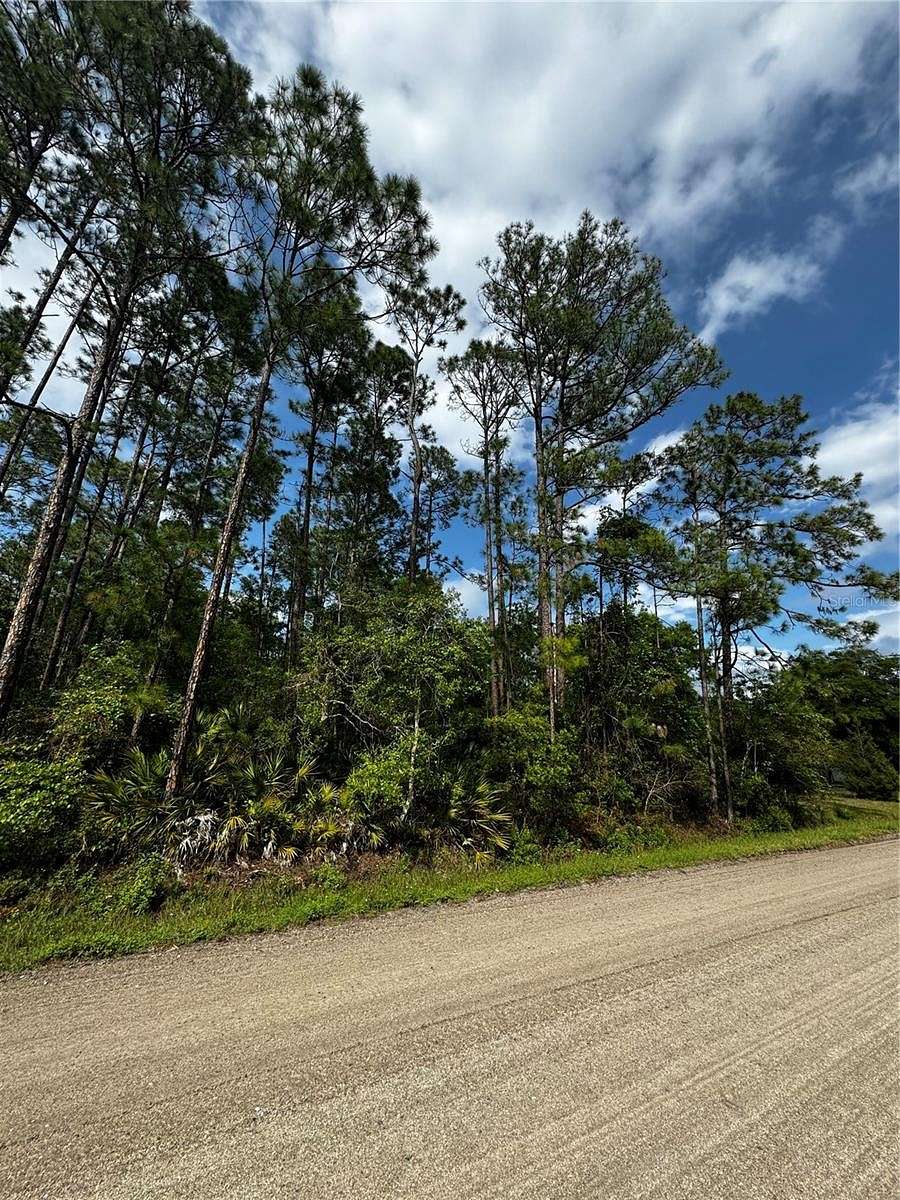 1.09 Acres of Land for Sale in Bunnell, Florida