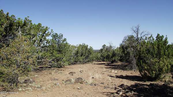1 Acre of Residential Land for Sale in Williams, Arizona