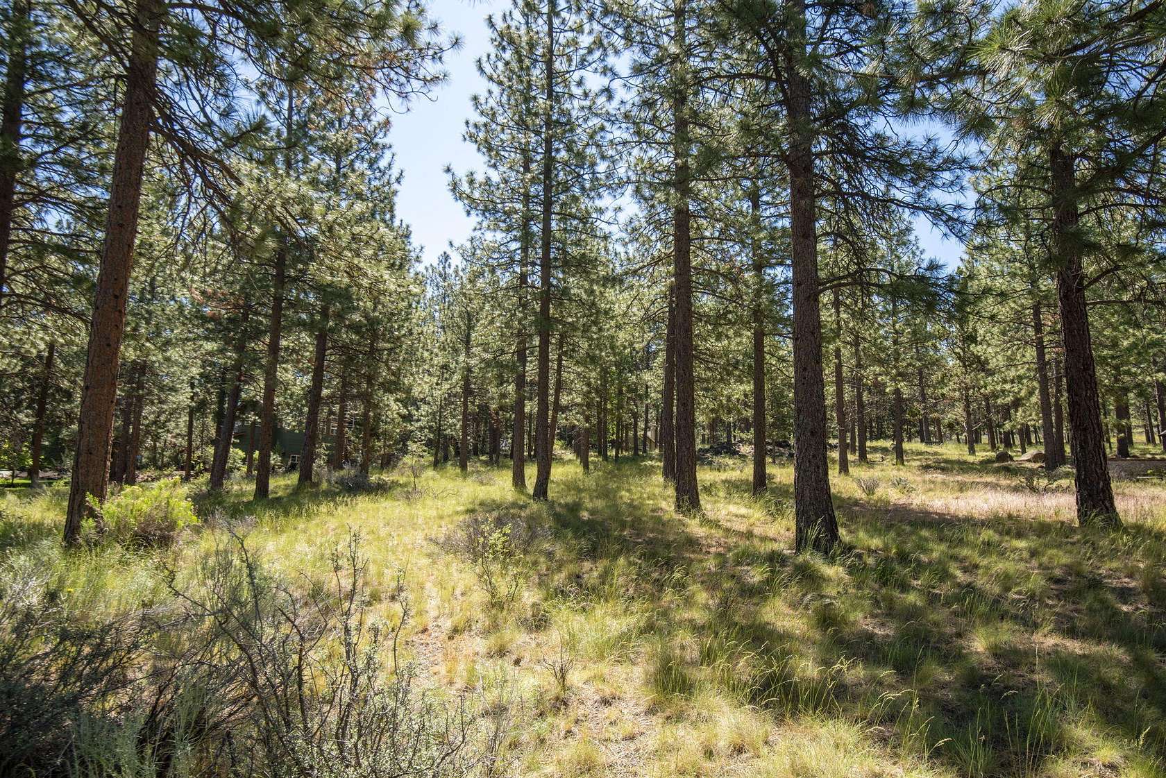 0.75 Acres of Residential Land for Sale in Bend, Oregon