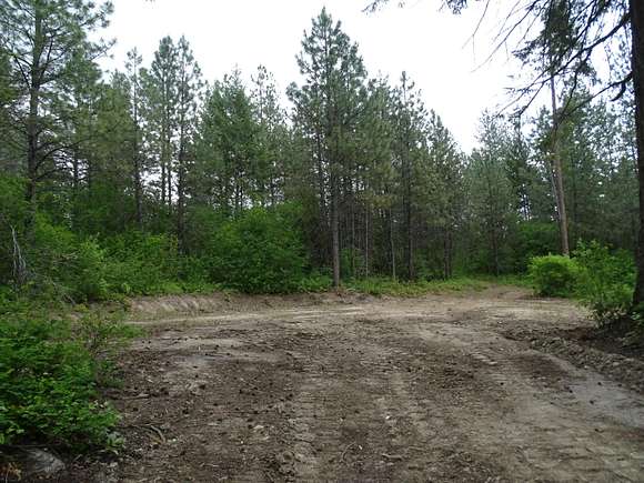 7.18 Acres of Residential Land for Sale in Valley, Washington