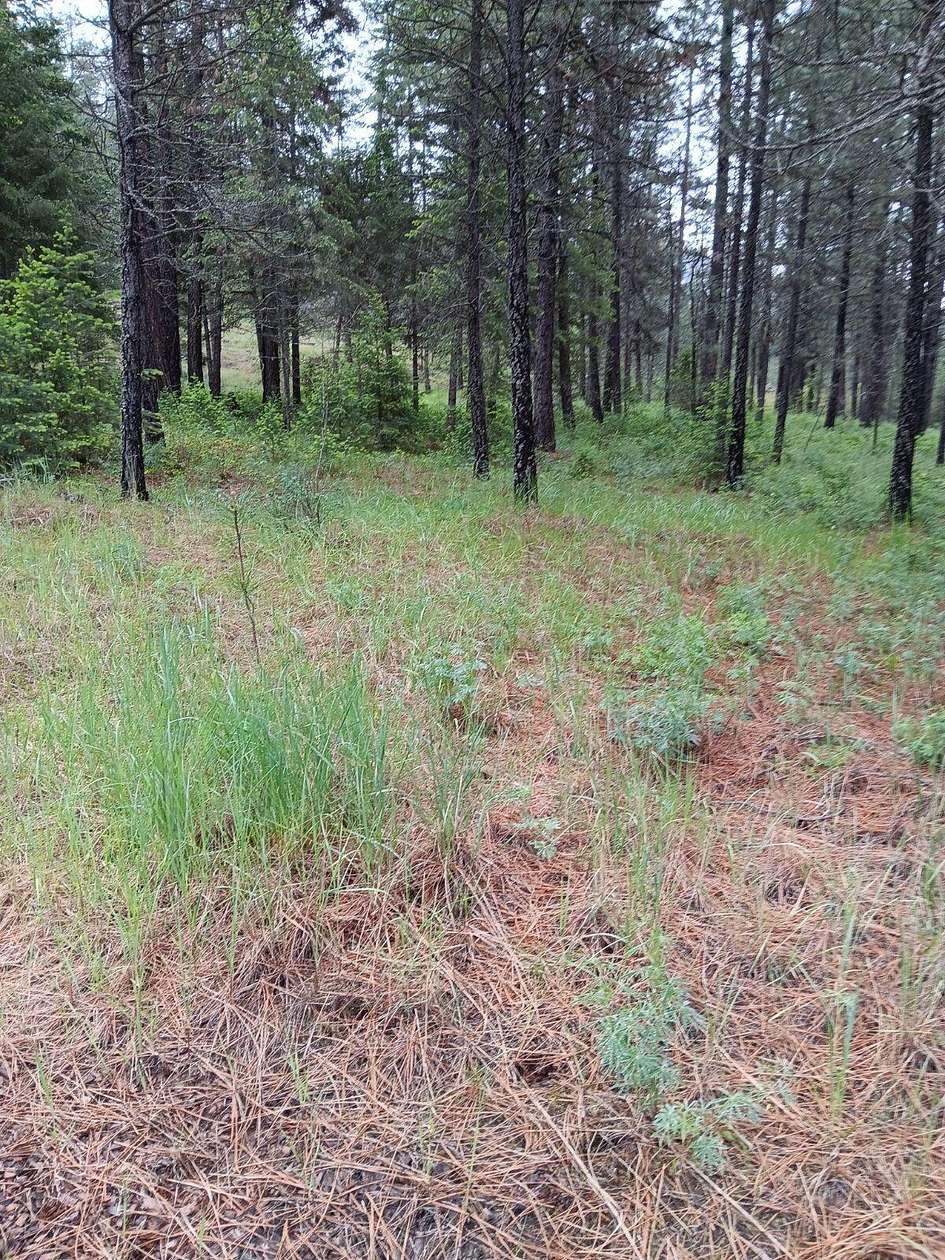 5.84 Acres of Land for Sale in Kettle Falls, Washington