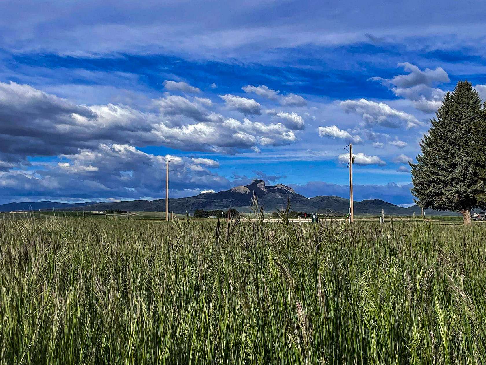 35 Acres of Land for Sale in Powell, Wyoming