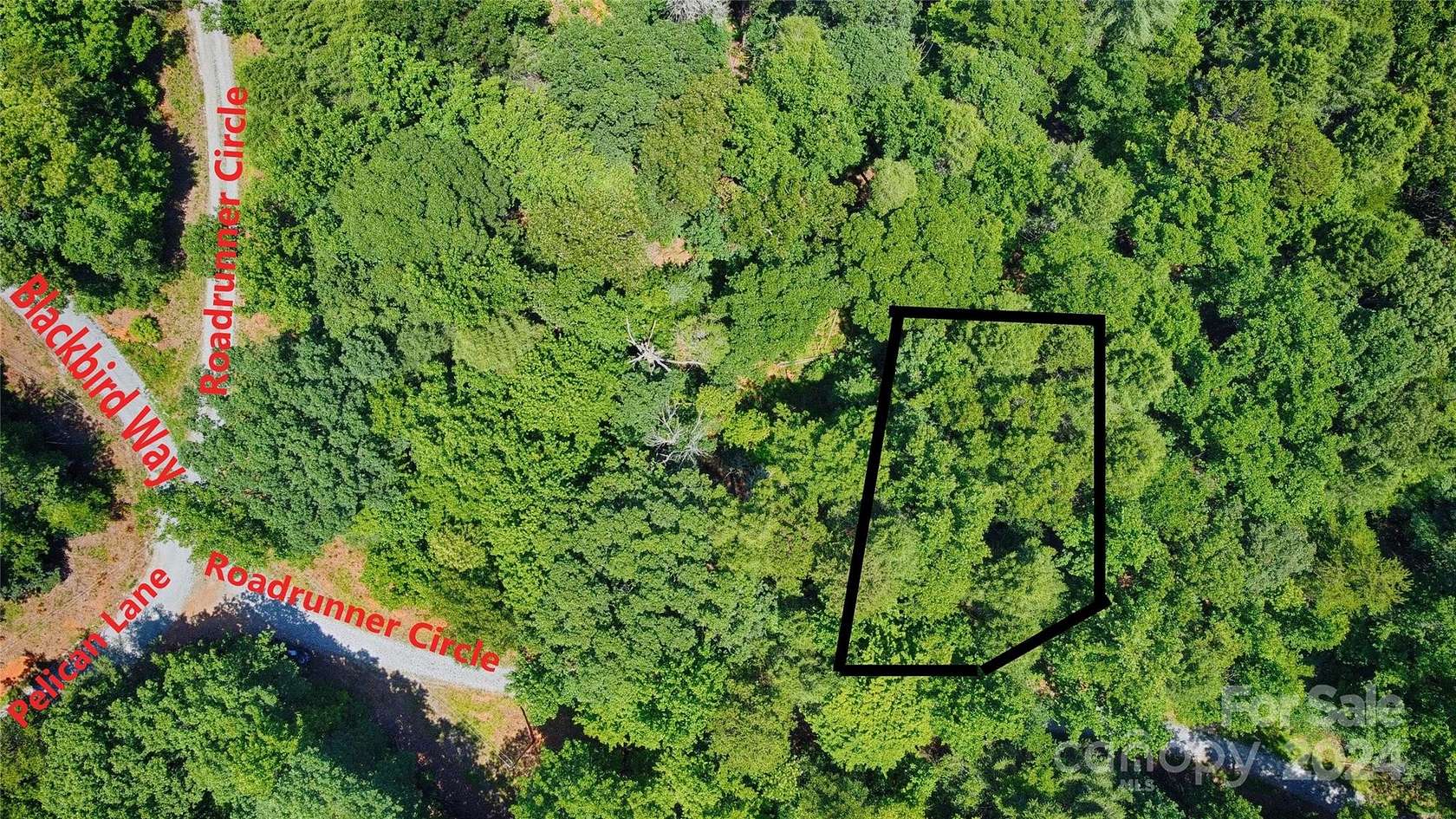 0.96 Acres of Residential Land for Sale in Lake Lure, North Carolina
