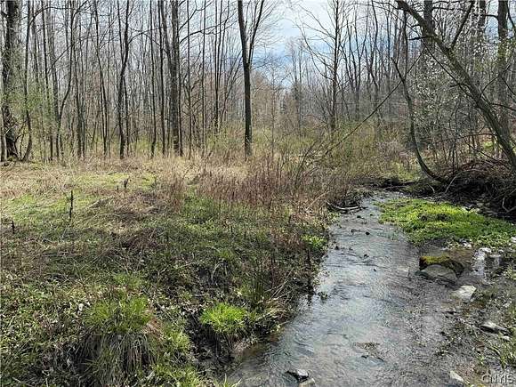 6.32 Acres of Residential Land for Sale in Grove, New York
