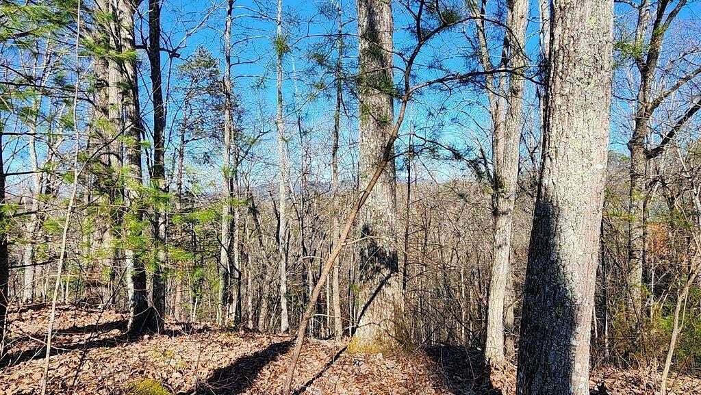 0.4 Acres of Land for Sale in Sevierville, Tennessee
