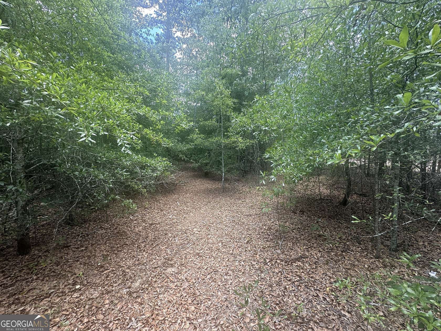 2.32 Acres of Residential Land for Sale in Butler, Georgia