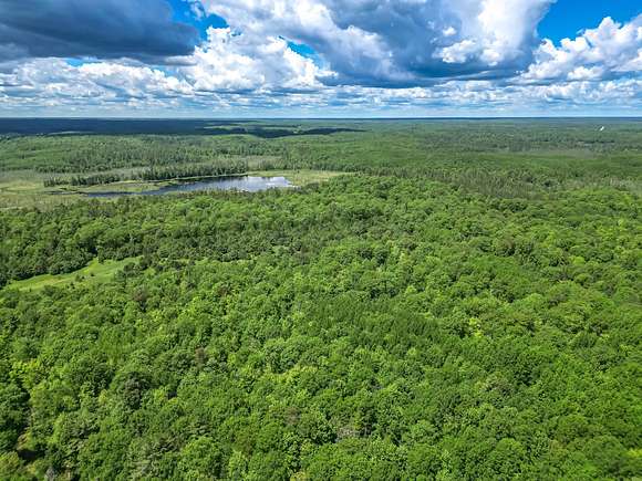 10 Acres of Land for Sale in Minocqua, Wisconsin