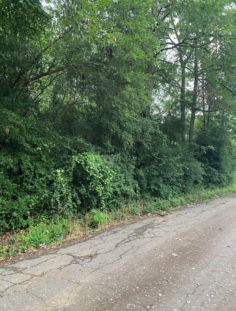 0.62 Acres of Land for Sale in Shelbyville, Texas