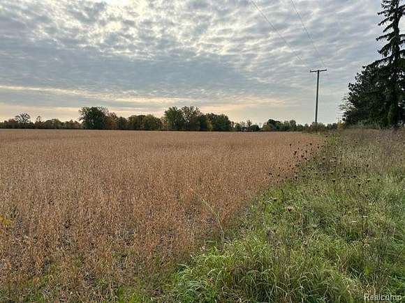 9.32 Acres of Residential Land for Sale in Riley Township, Michigan