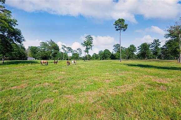 5.34 Acres of Residential Land for Sale in Franklinton, Louisiana