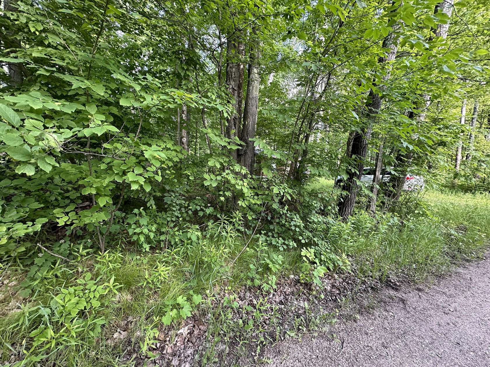 0.23 Acres of Land for Sale in Cadillac, Michigan