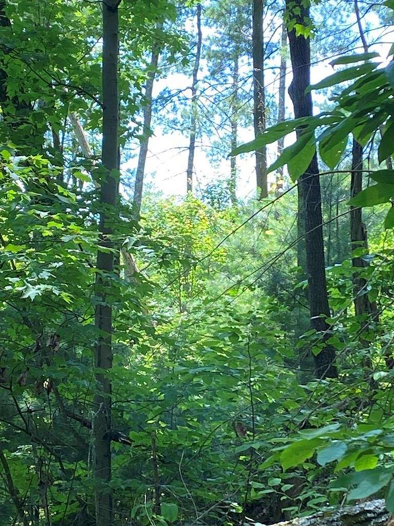 2.44 Acres of Residential Land for Sale in Ellijay, Georgia