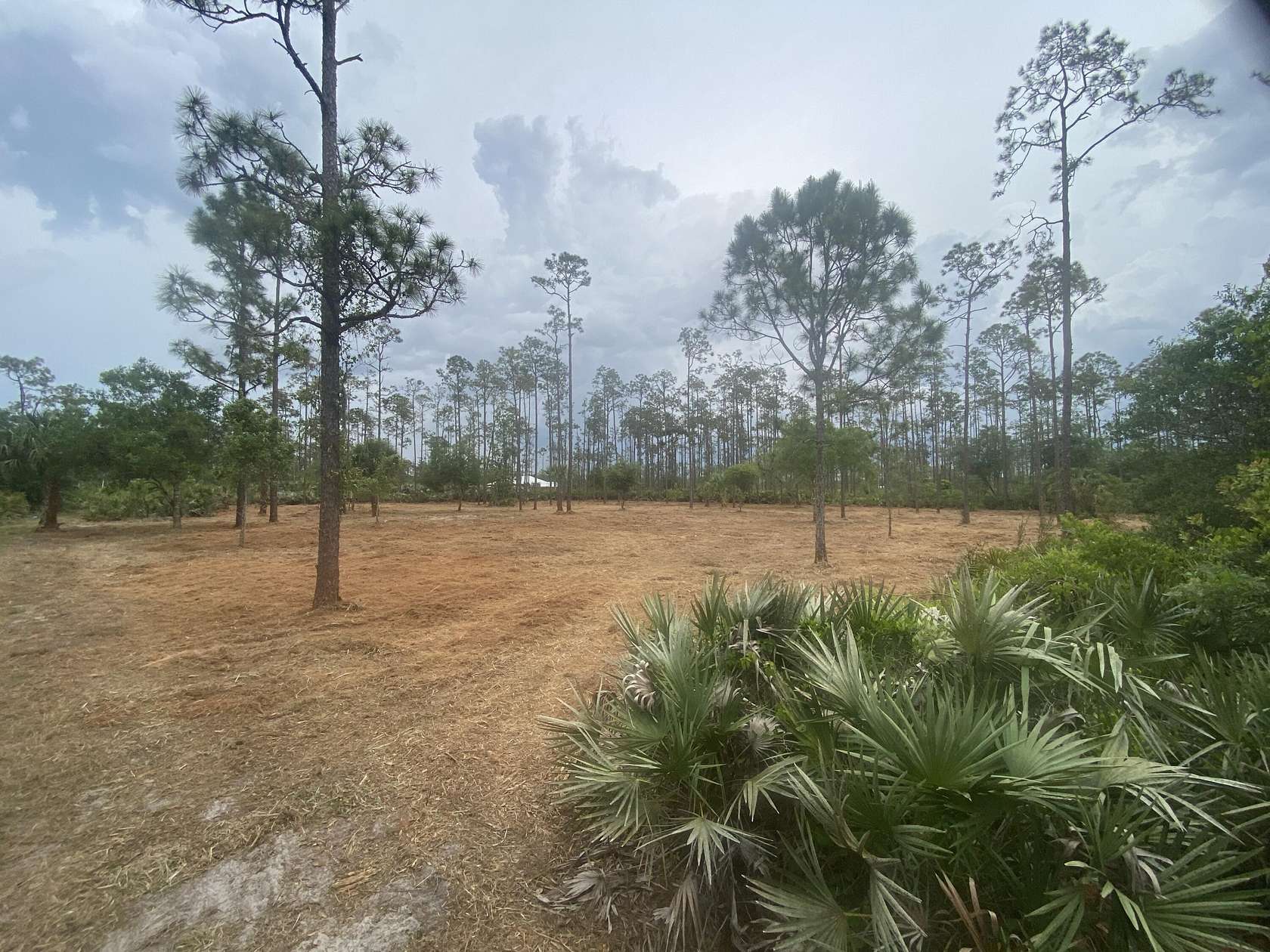 Residential Land for Sale in Okeechobee, Florida