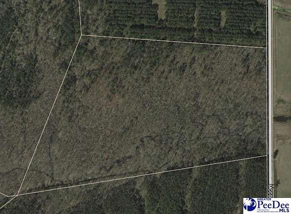 45 Acres of Recreational Land for Sale in Kingstree, South Carolina