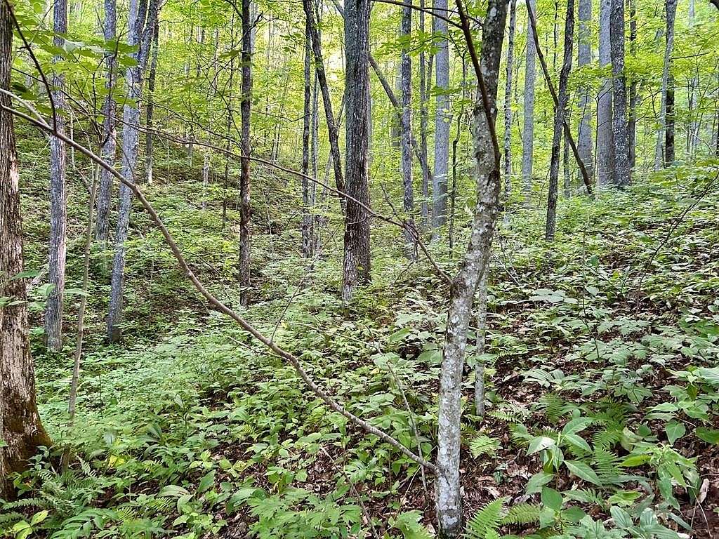 4.85 Acres of Land for Sale in Bryson City, North Carolina