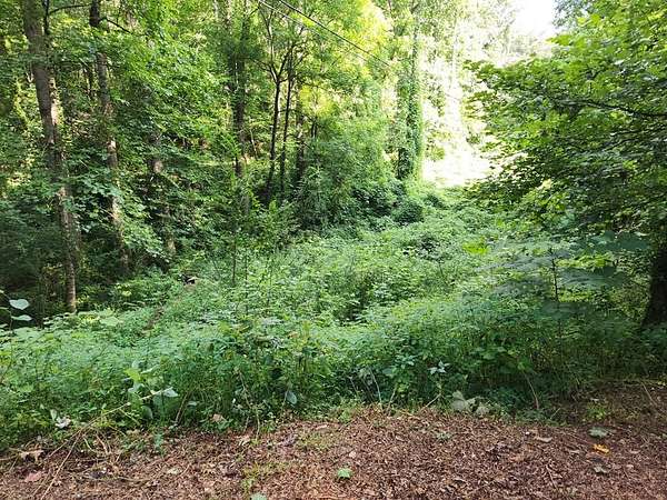 0.45 Acres of Land for Sale in Franklin, North Carolina