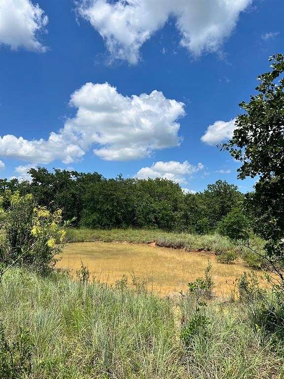 21.83 Acres of Recreational Land for Sale in Sidney, Texas