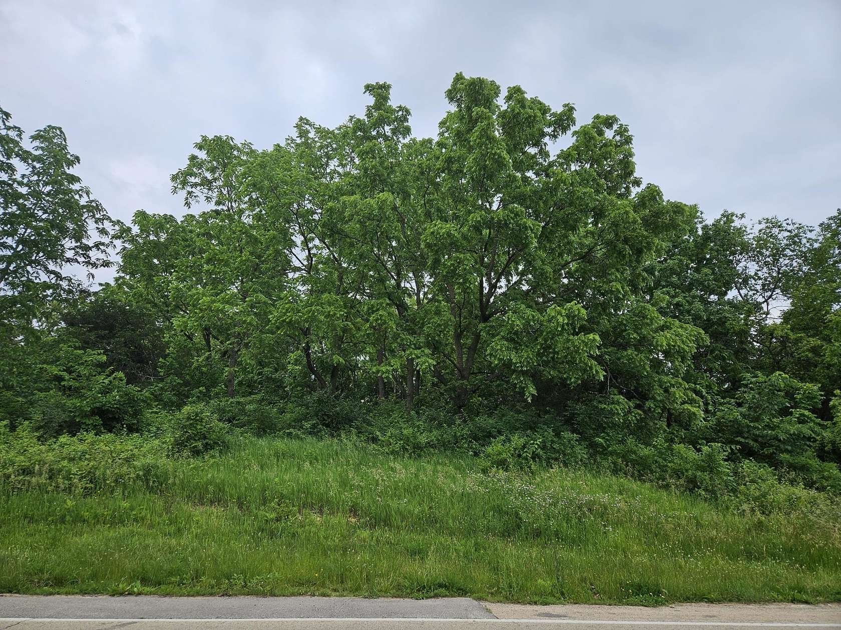 1 Acres of Residential Land for Sale in Galena, Illinois