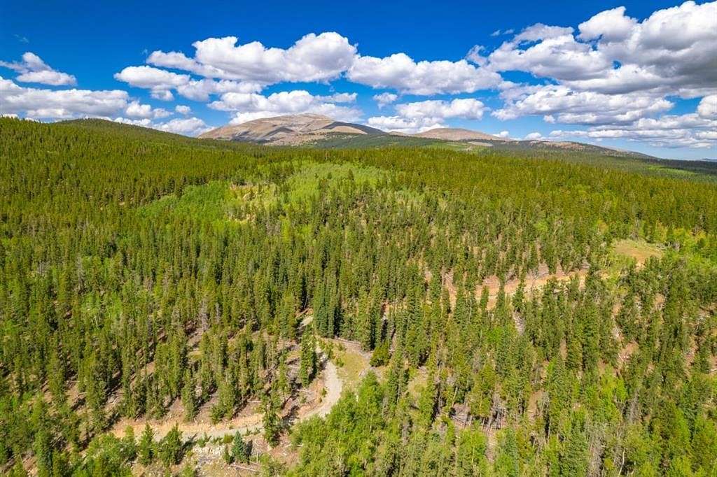 20 Acres of Land for Sale in Fairplay, Colorado