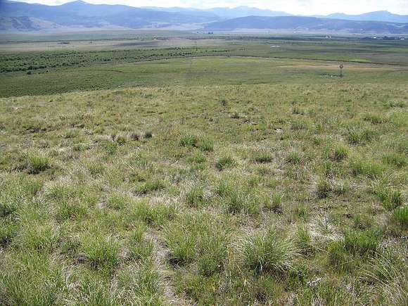 3 Acres of Residential Land for Sale in Jefferson, Colorado