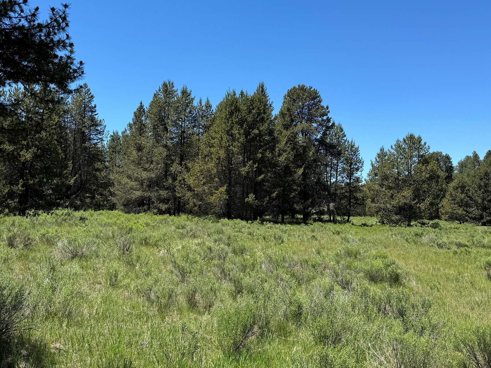 20 Acres of Recreational Land for Sale in Chiloquin, Oregon