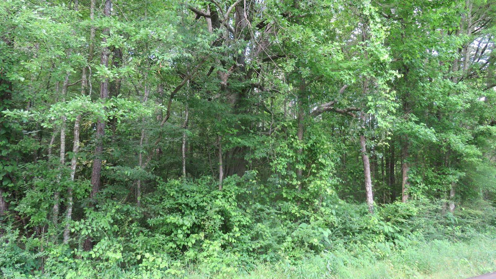 1.1 Acres of Land for Sale in Kosciusko, Mississippi