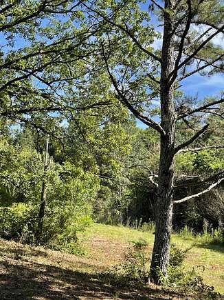 4.5 Acres of Residential Land for Sale in Rogersville, Alabama
