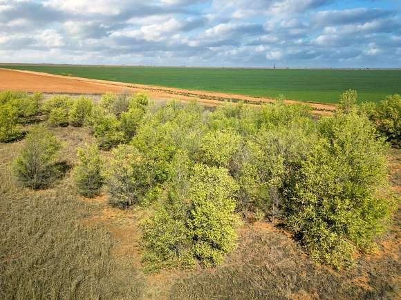 24.56 Acres of Land for Sale in Ropesville, Texas