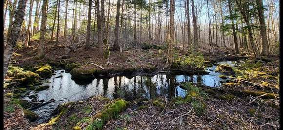 39.2 Acres of Recreational Land for Sale in Oakfield, Maine