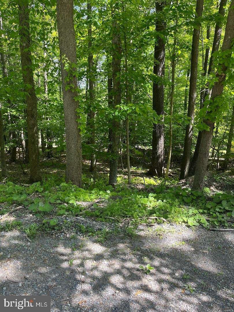 0.46 Acres of Residential Land for Sale in Oakland, Maryland