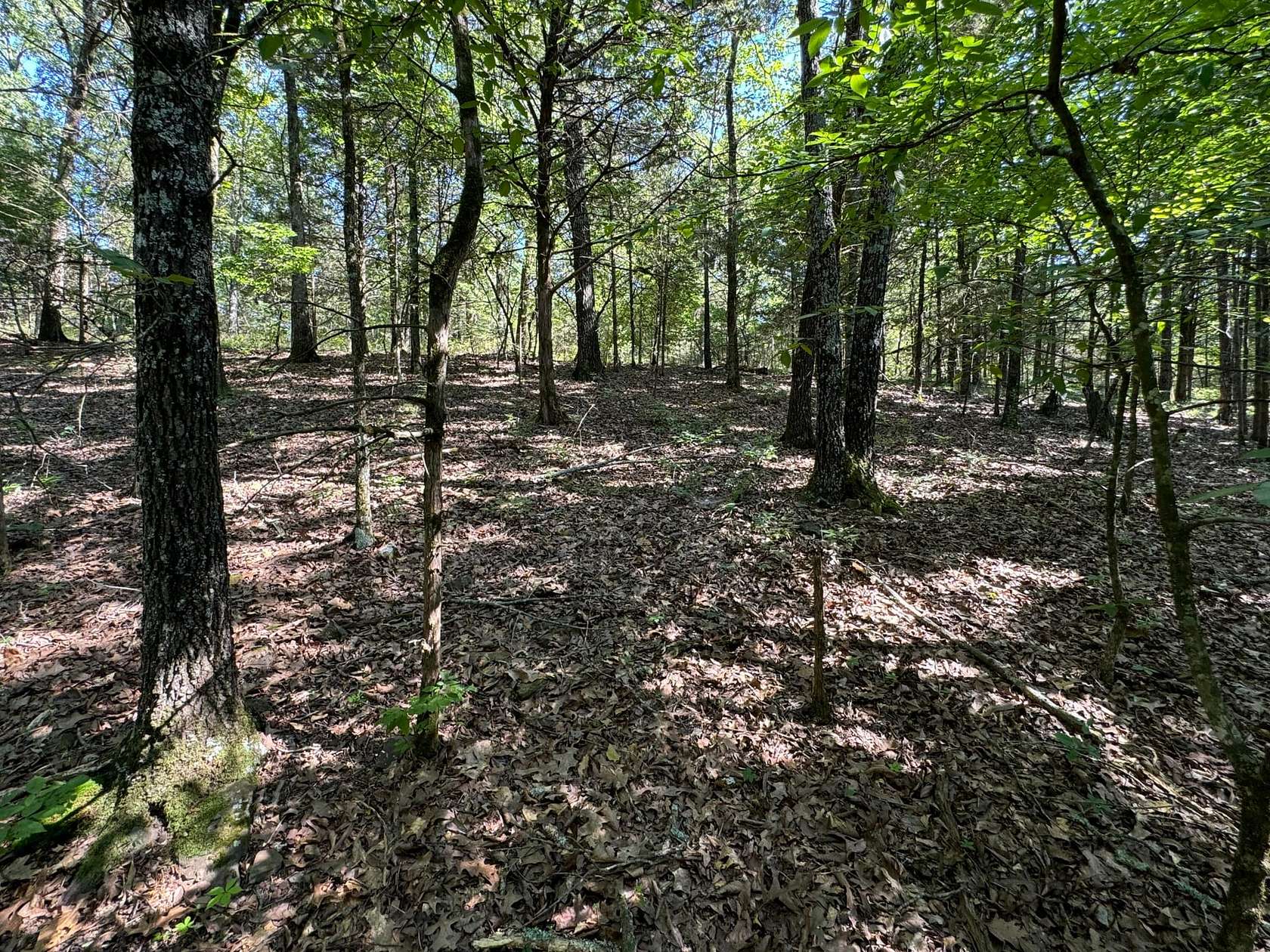 12.2 Acres of Recreational Land with Home for Sale in Cedarville, Arkansas