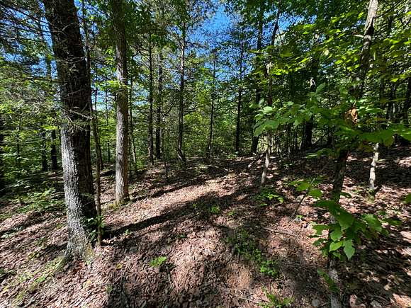 12 Acres of Recreational Land for Sale in Cedarville, Arkansas