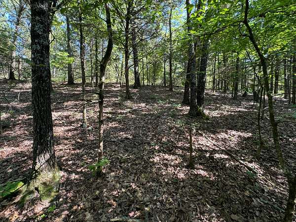 12.2 Acres of Recreational Land with Home for Sale in Cedarville, Arkansas