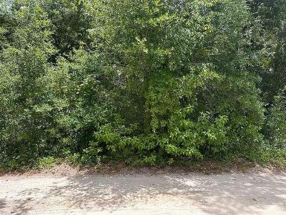 0.47 Acres of Residential Land for Sale in Ocala, Florida