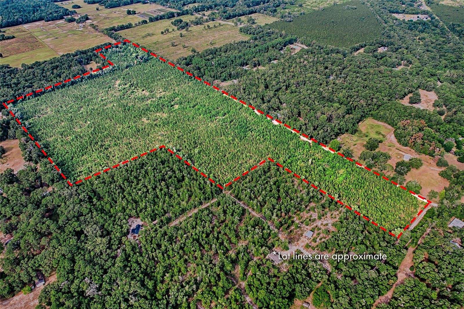 61.77 Acres of Land for Sale in Archer, Florida