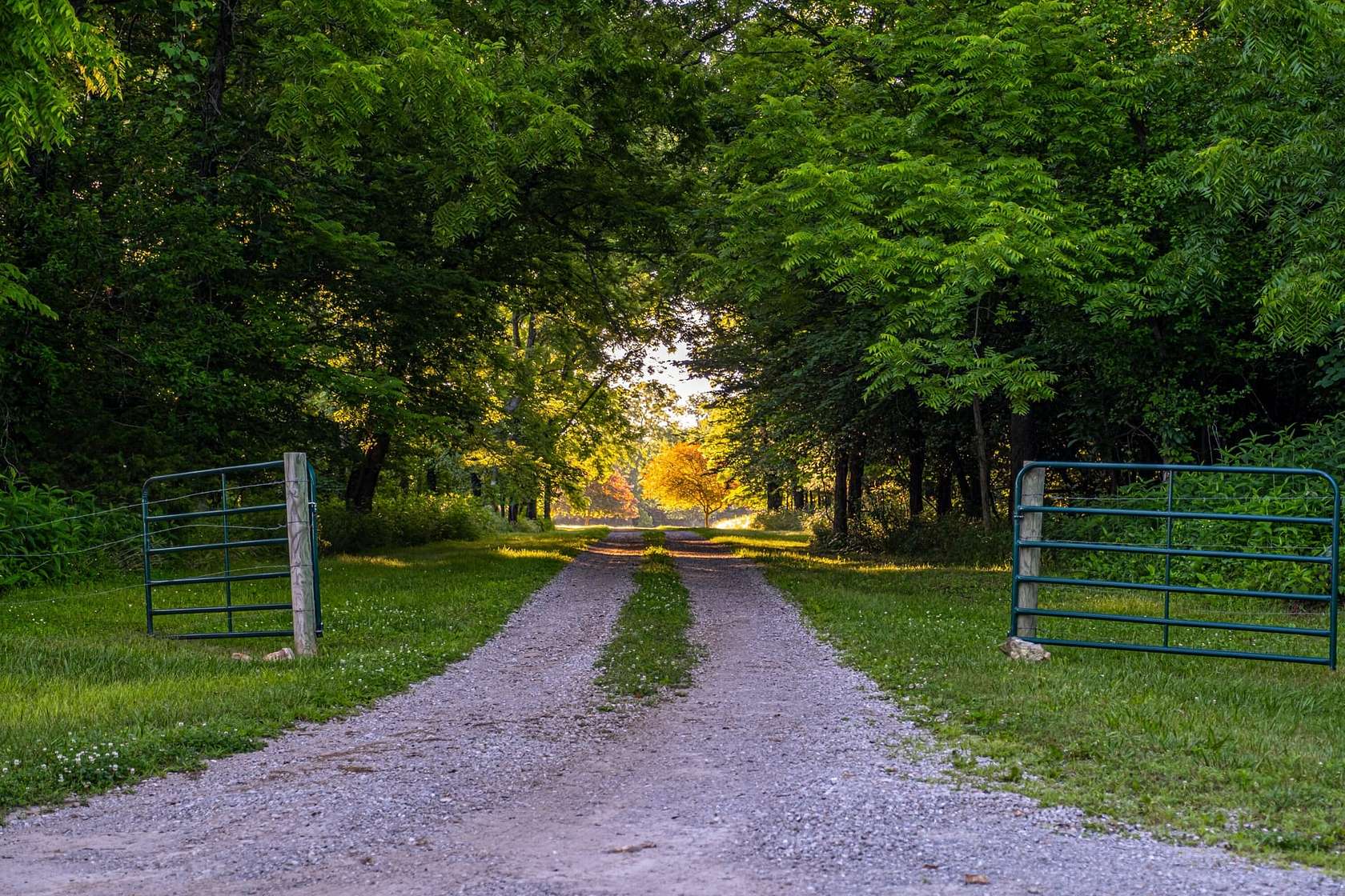 60 Acres of Land with Home for Sale in Willard, Missouri