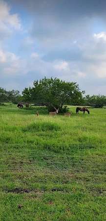 17.9 Acres of Agricultural Land for Sale in Taft, Texas