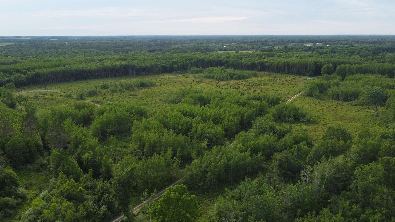 40 Acres of Recreational Land for Sale in Free Soil, Michigan