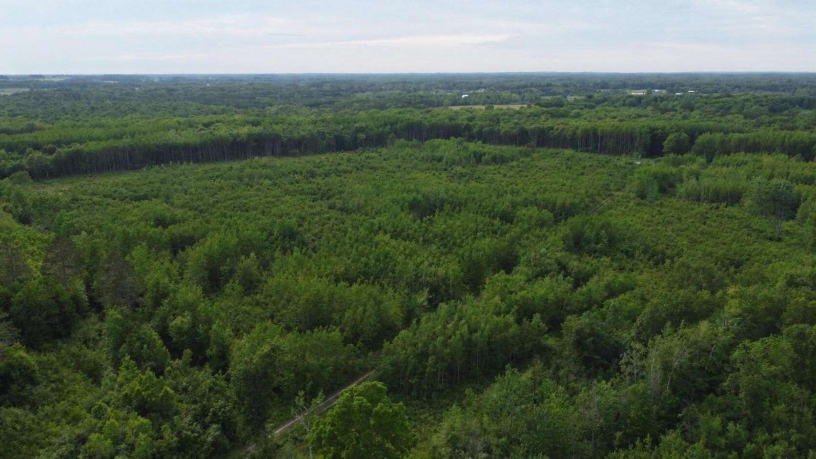40 Acres of Recreational & Residential Land for Sale in Free Soil, Michigan