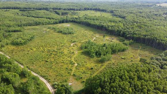 40 Acres of Recreational Land for Sale in Free Soil, Michigan