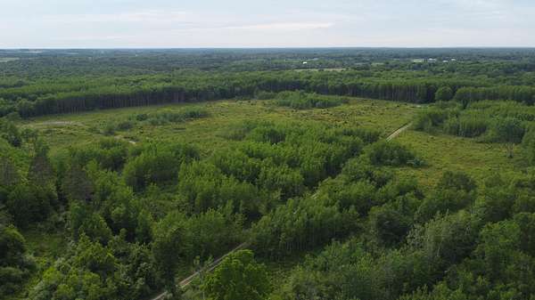 40 Acres of Recreational Land for Sale in Free Soil, Michigan