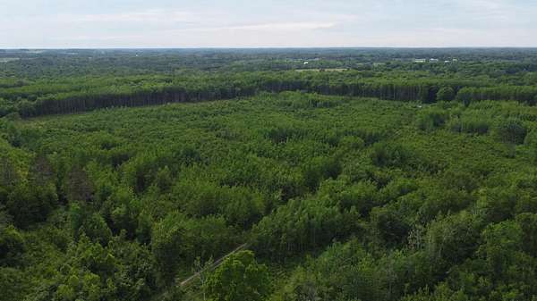40 Acres of Recreational & Residential Land for Sale in Free Soil, Michigan