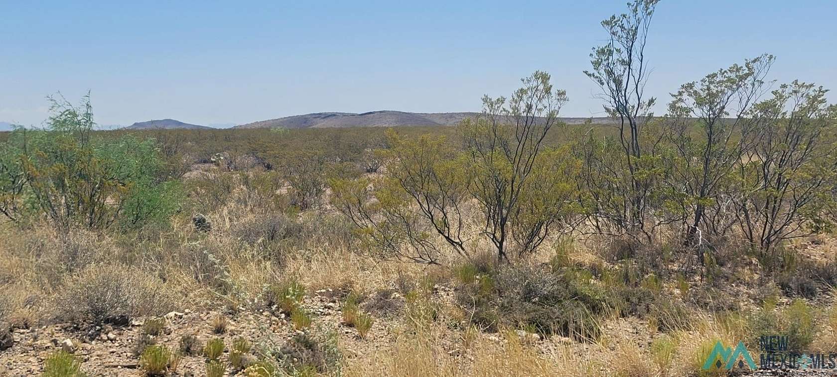 14.23 Acres of Land for Sale in Elephant Butte, New Mexico