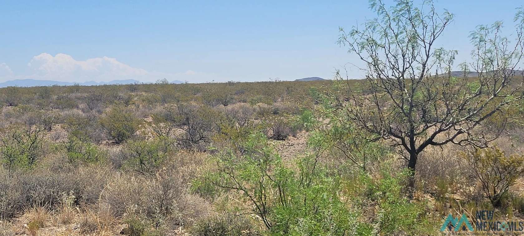 11.37 Acres of Land for Sale in Elephant Butte, New Mexico