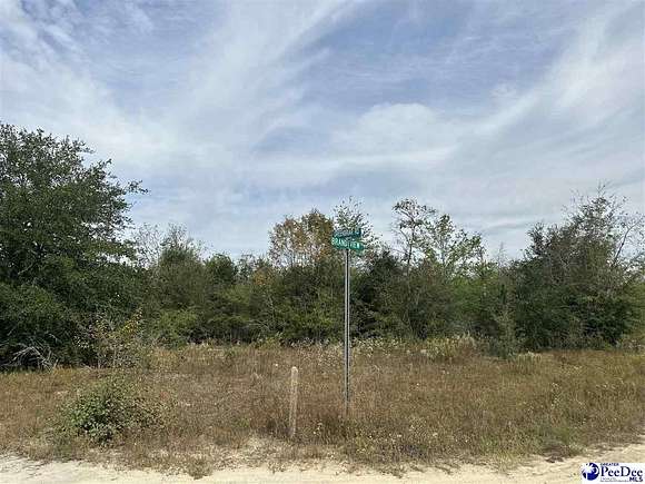 1.15 Acres of Residential Land for Sale in Cheraw, South Carolina