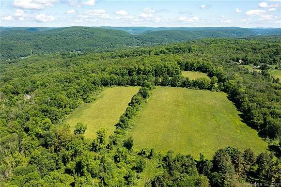 61.54 Acres of Agricultural Land for Sale in New Milford, Connecticut